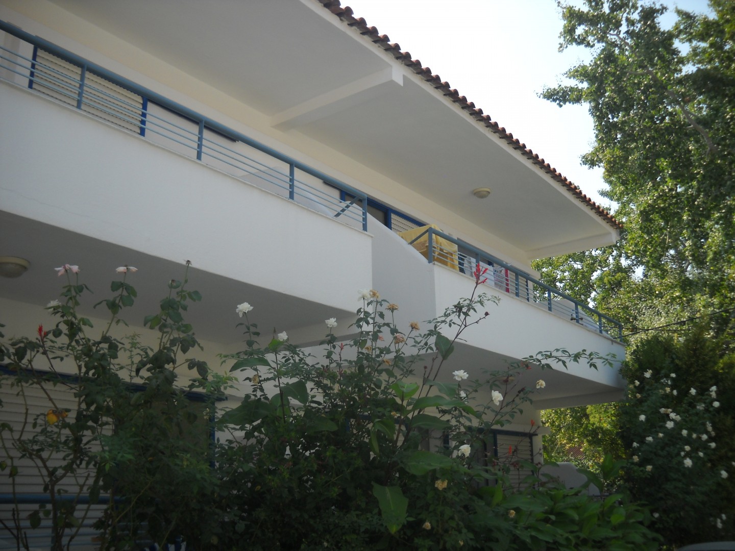 Apartmani i Studija Dukas