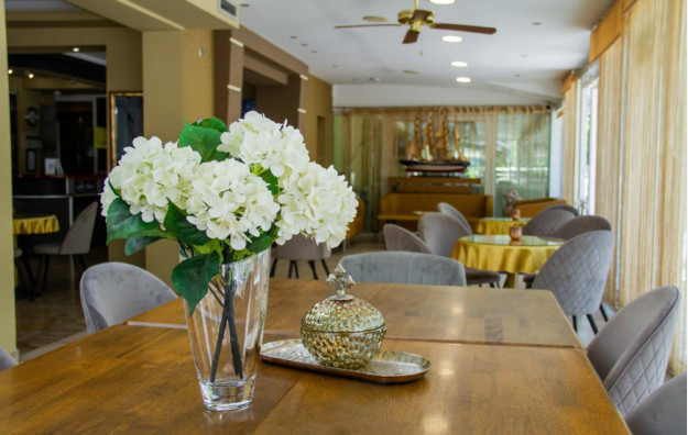 Hotel Paralia Inn