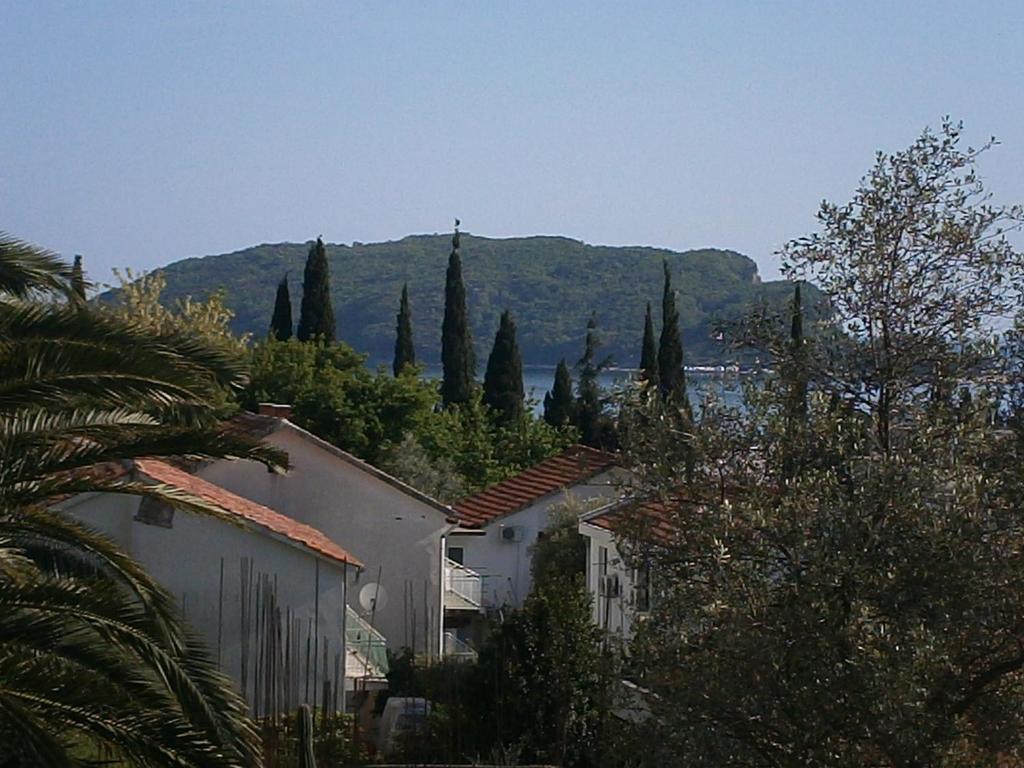 Apartmani Mijović
