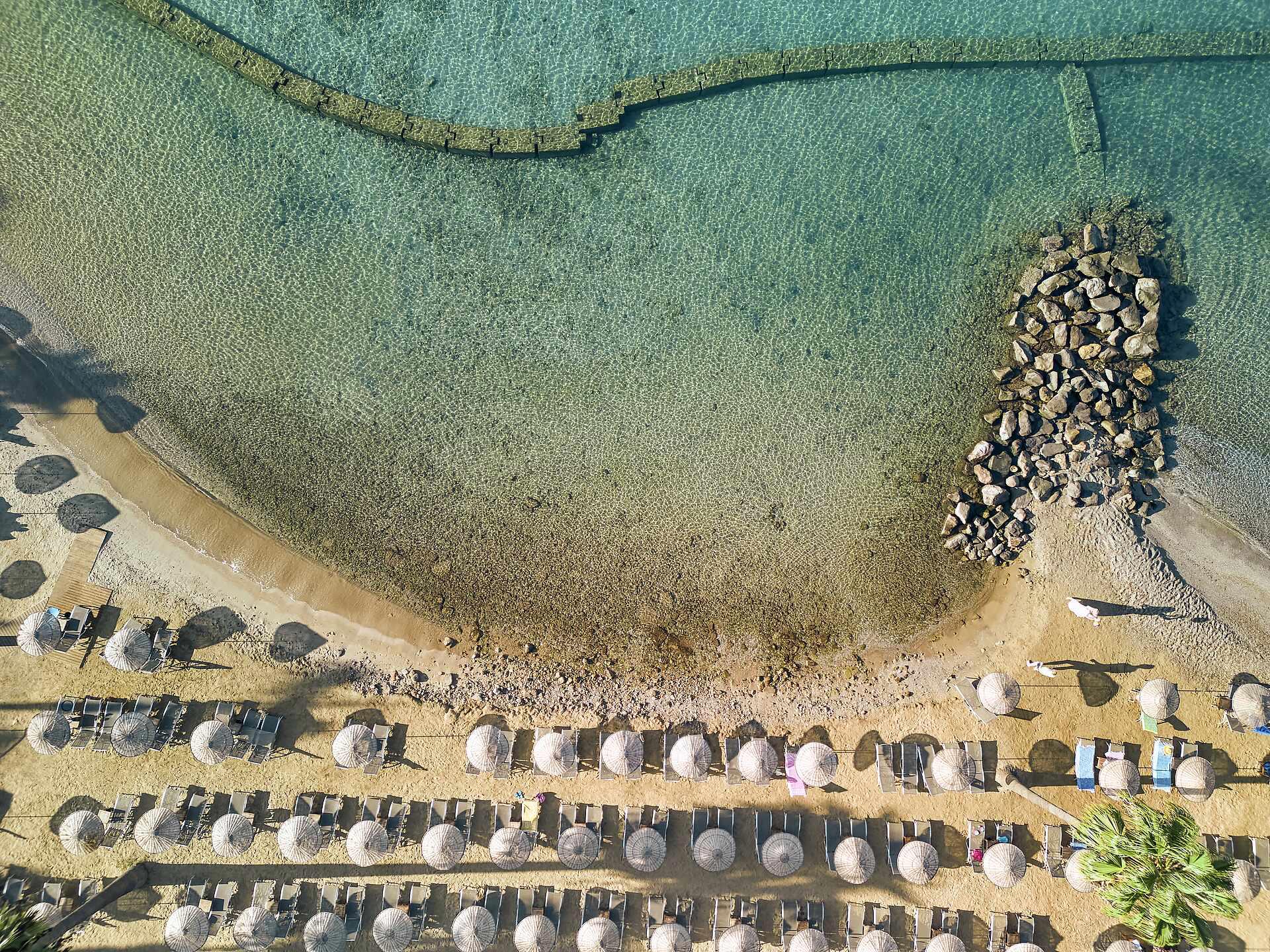 Tui Magic Life Bodrum +16