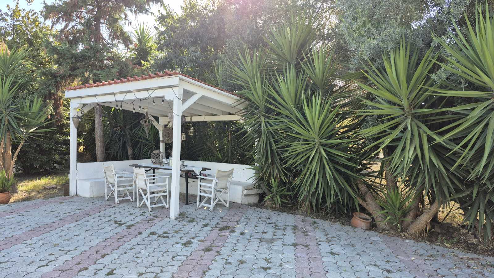 Vila Alexandros Garden