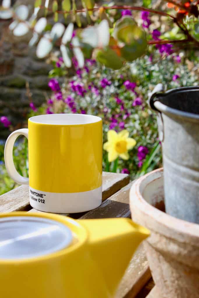 Bright yellow mug in a garden setting, highlighting a cheerful and inviting atmosphere.