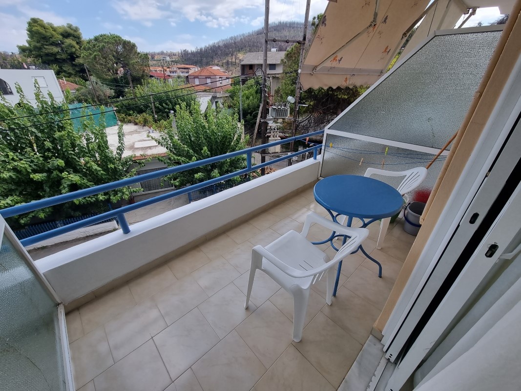 Vila Smaro