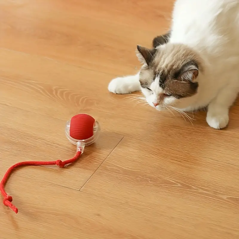 Interactive Cat Toy - USB Ball