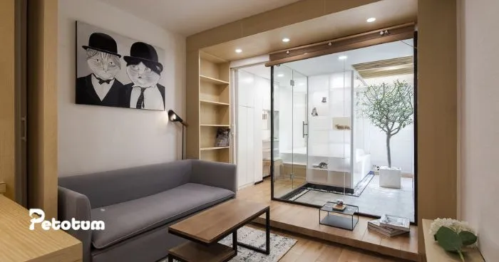The Purrfect Home: Creating a Cat-Friendly Environment
