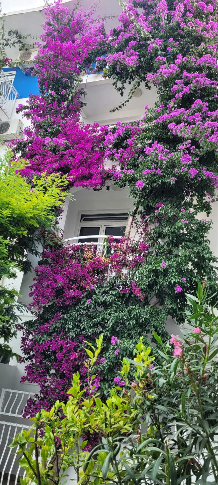 Hotel Vila Fontana