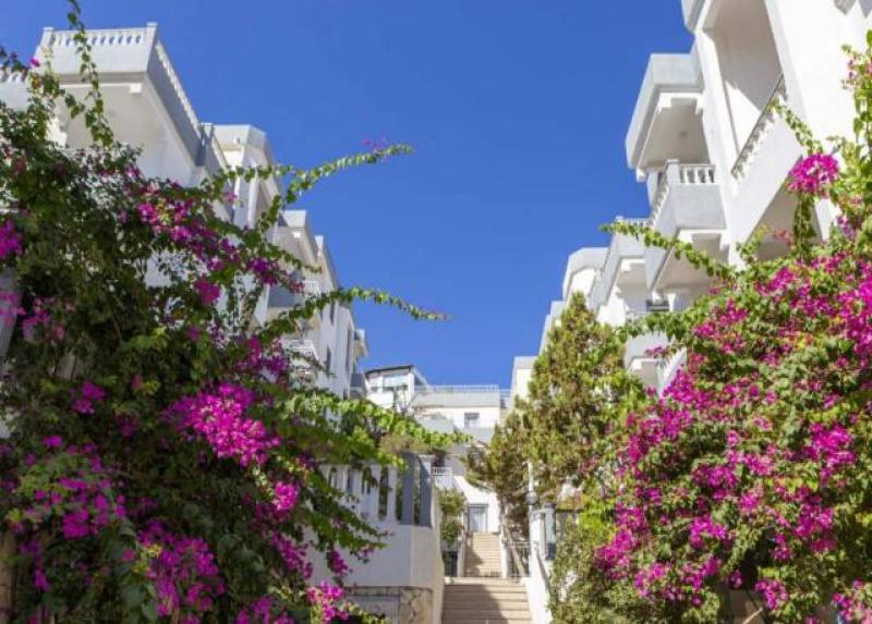 Smart Holiday Hotel