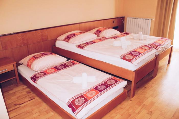 Videc Forest Hotel