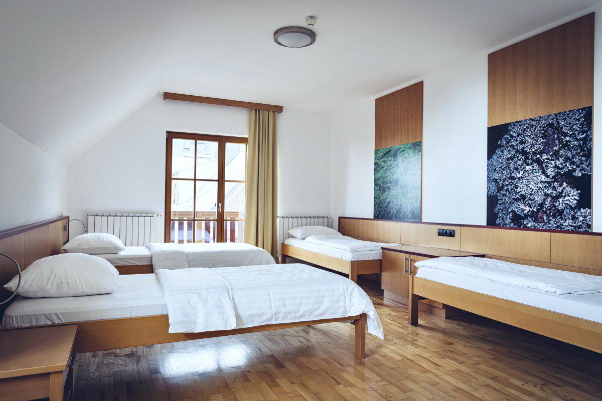 Videc Forest Hotel