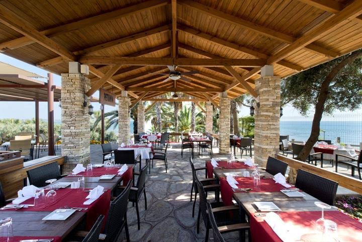 Barut Arum Collection