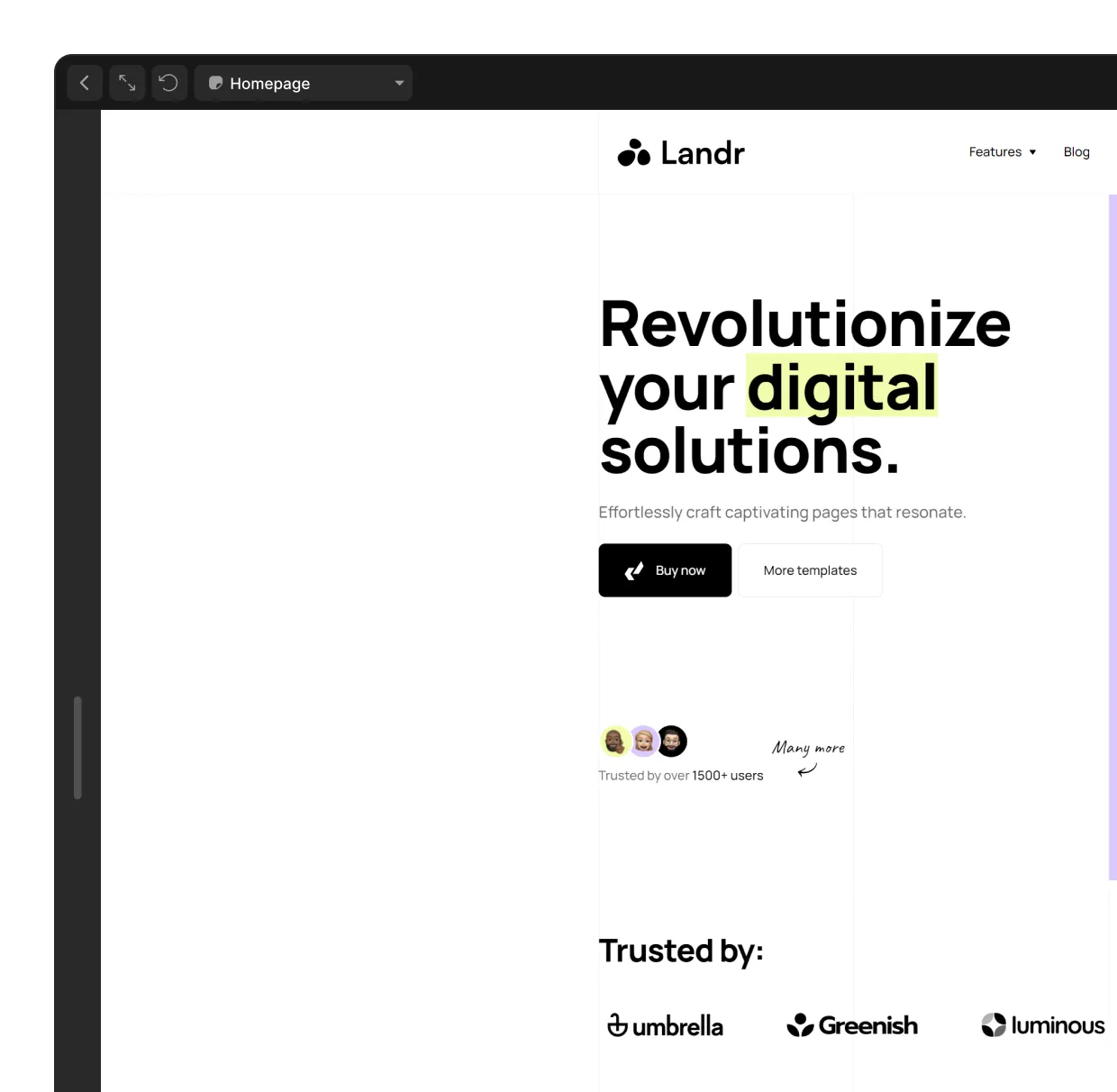Improve Workflow & Speed Up Building Your Website