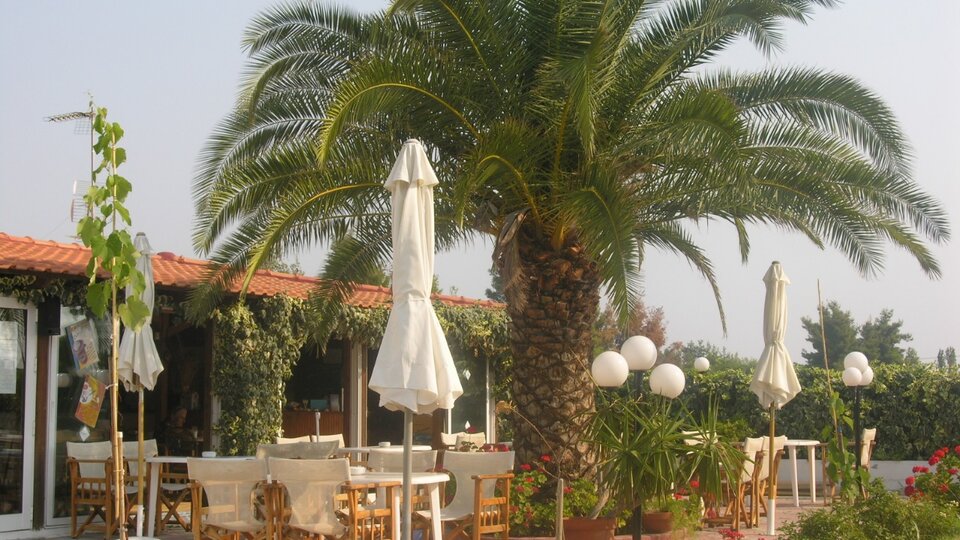 Hotel Haris