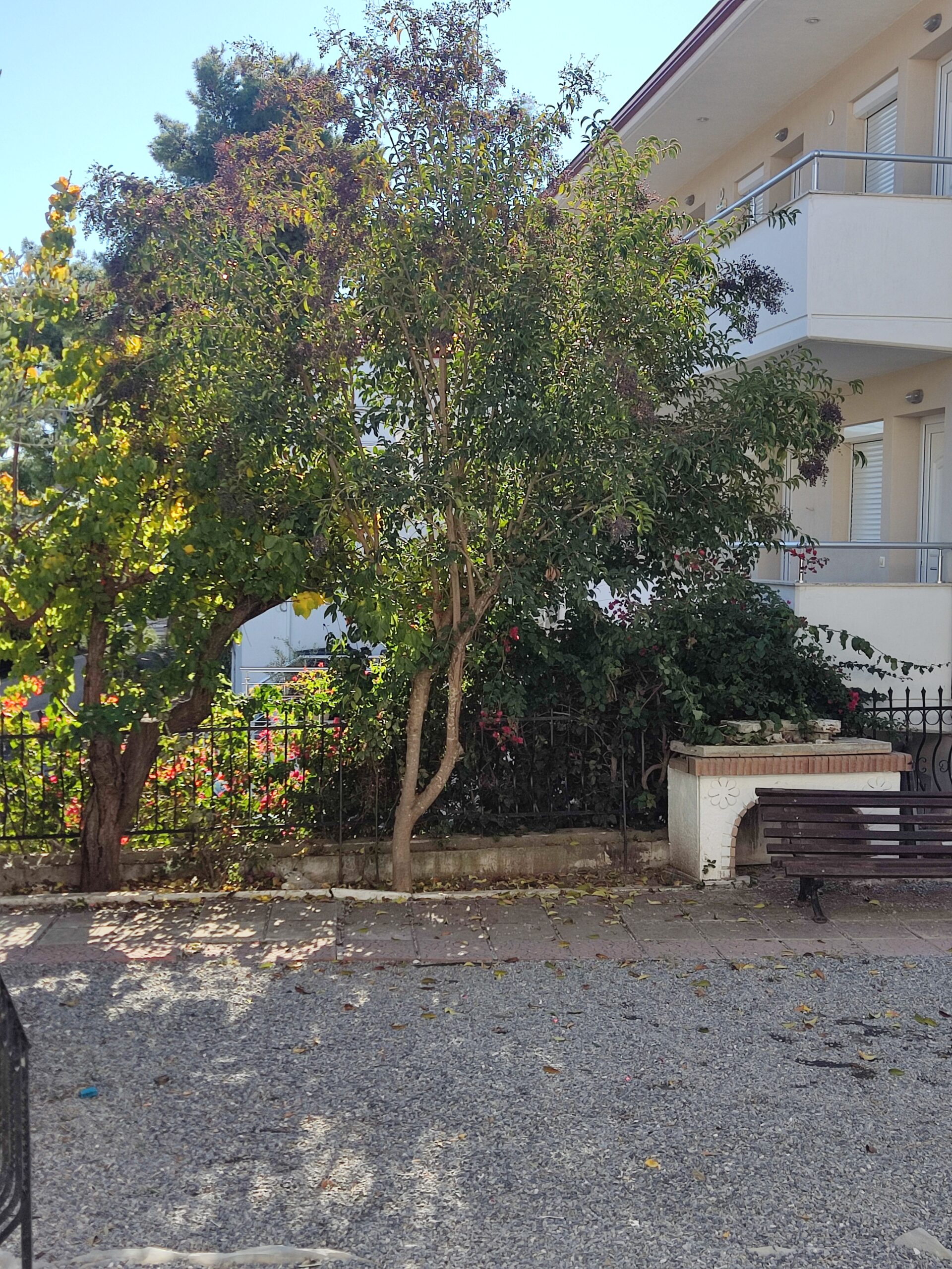Vila Celestial Spa Sea View