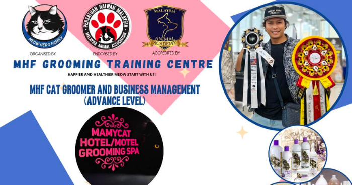 View of +4 Best Cat Grooming Courses / Workshop in Malaysia