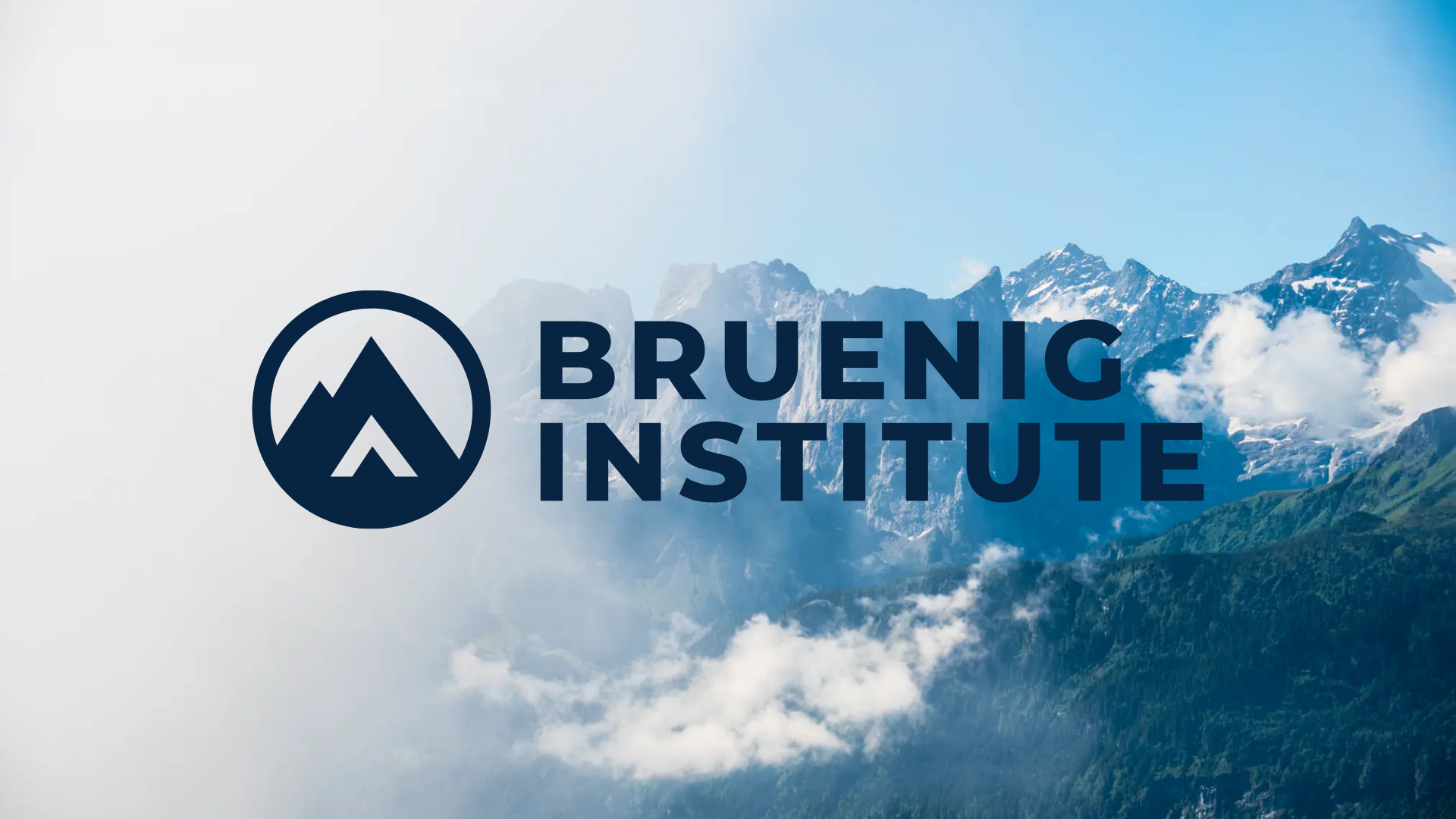 Aufbau des Bruenig Institute