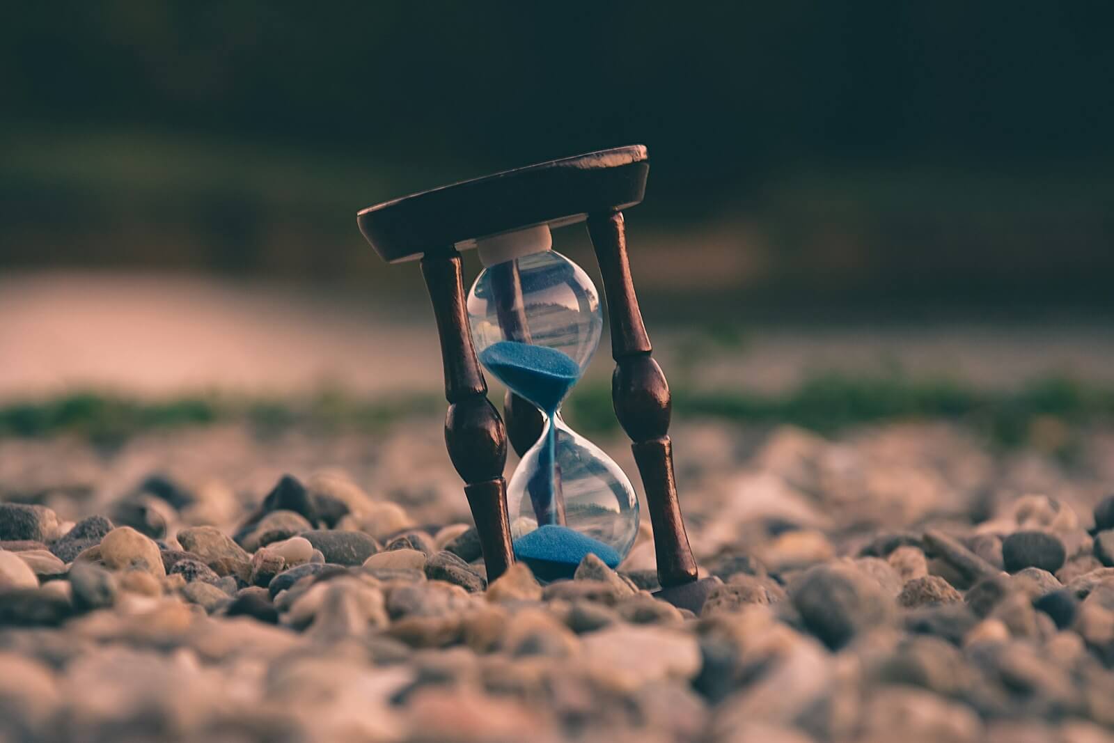 https://global.divhunt.com/1d43f987669af58699934523eb467e5a_78388.jpeg
