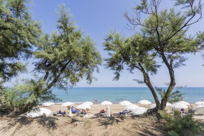 Gran Palladium Resort