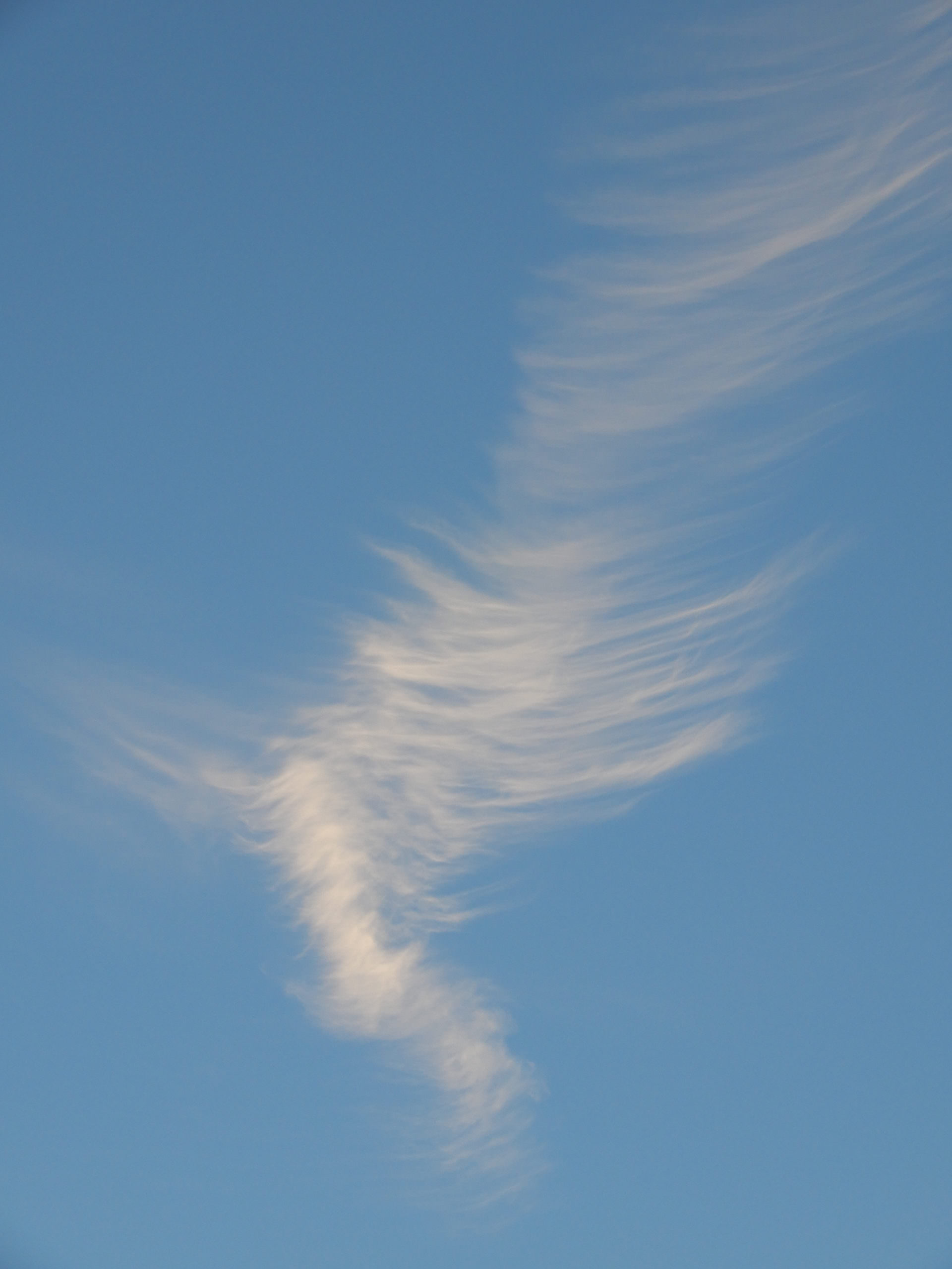 Infinite Truth of You - Angel Cloud