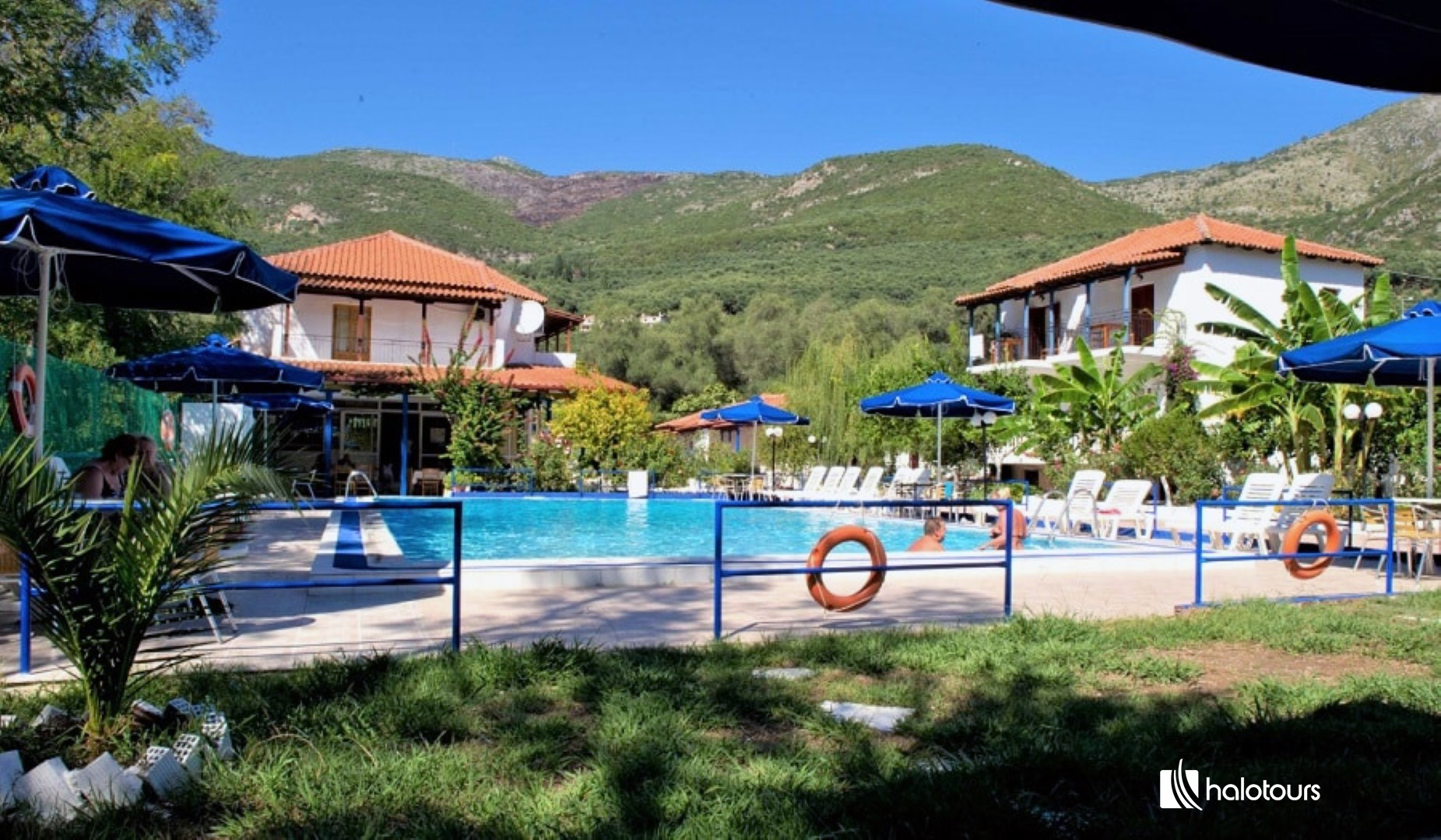Vila Olive Tree