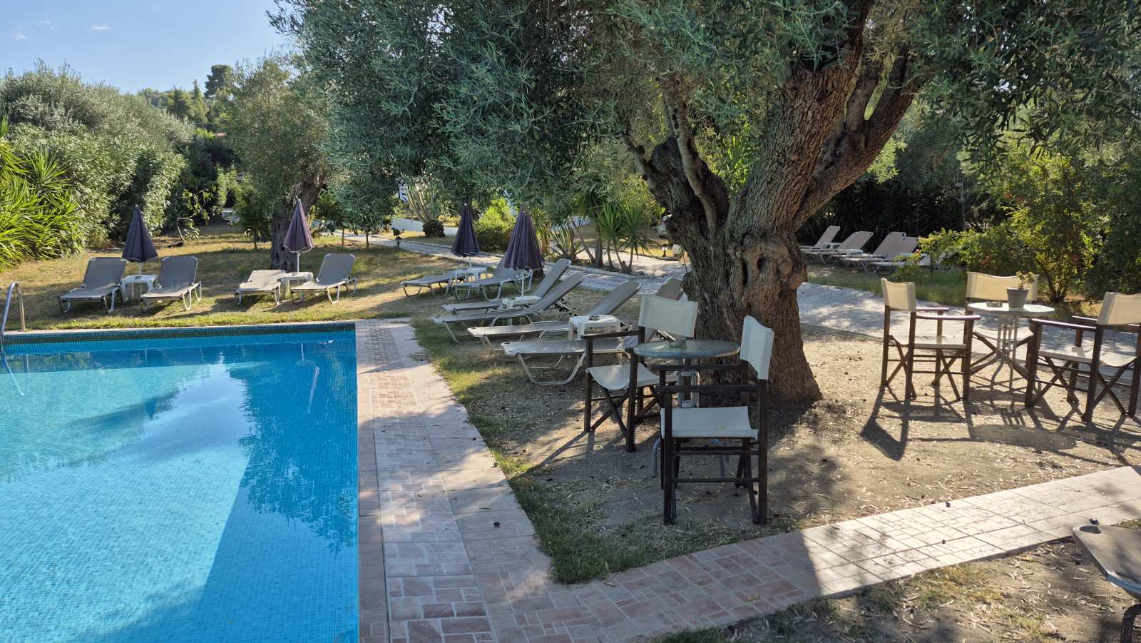Vila Alexandros Garden