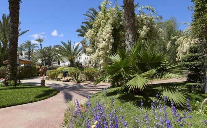 Djerba Resort