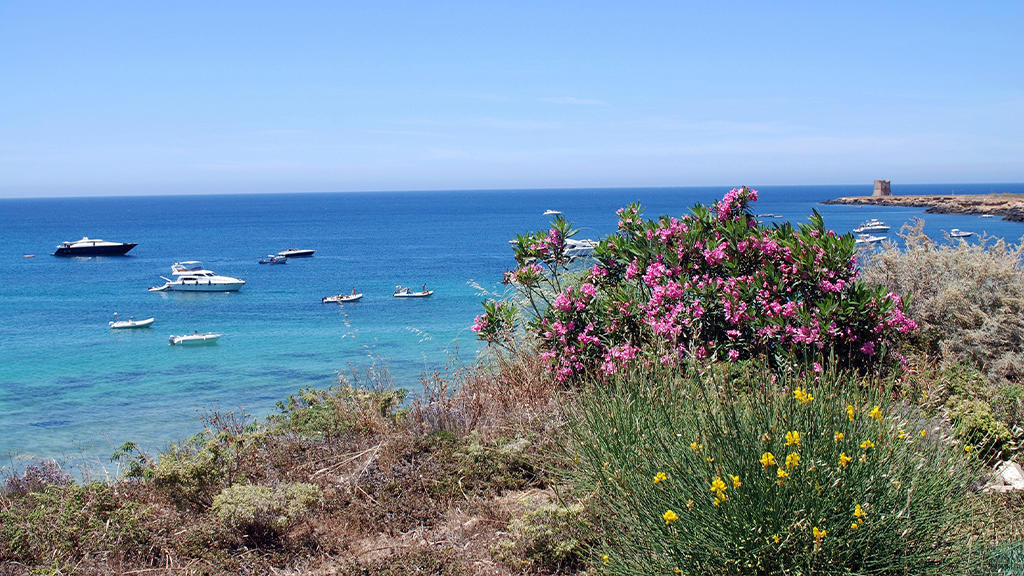 Voi Florio Resort