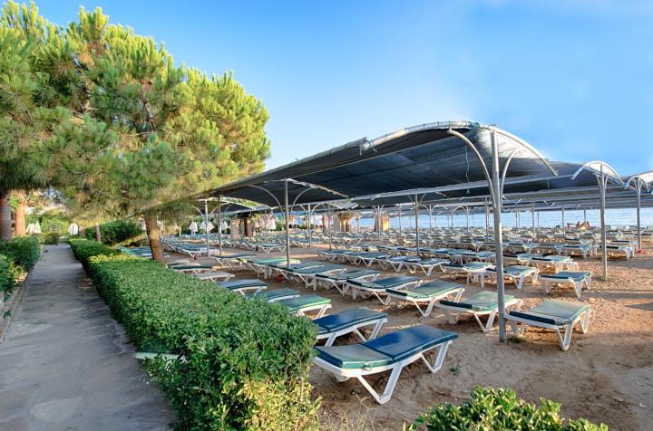 Trendy Palm Beach Adults Only +16