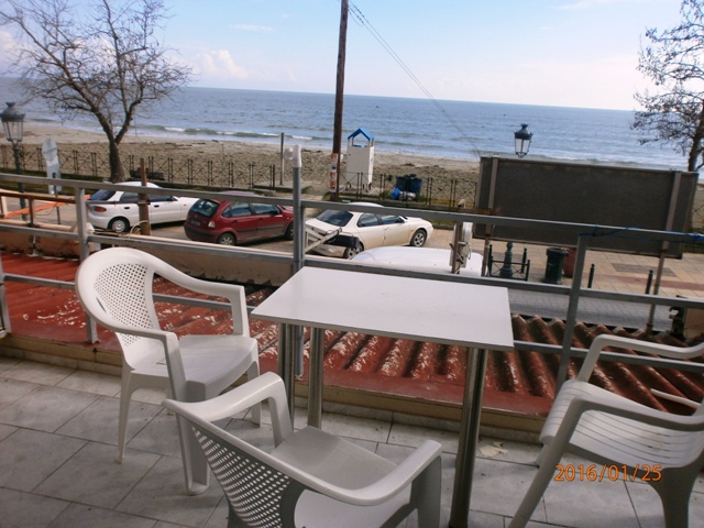 Vila Flert ex Delfini