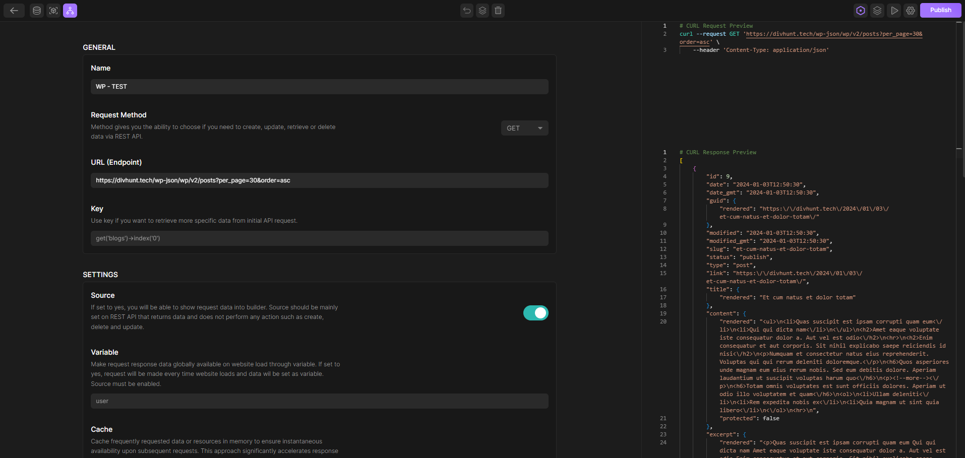 WordPress API 101: Master REST API Basics | Divhunt Academy
