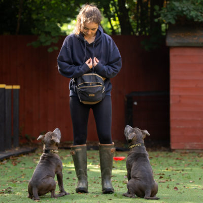 A woman in boots and a hoodie stands on grass, looking down, with two gray dogs sitting attentively in front of her, exemplifying the focus and discipline of a skilled dog trainer. There is a red wooden fence and trees in the background, reminiscent of the well-maintained environments provided by Royvon dog boarding services.