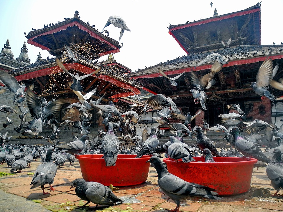Nepal i Butan