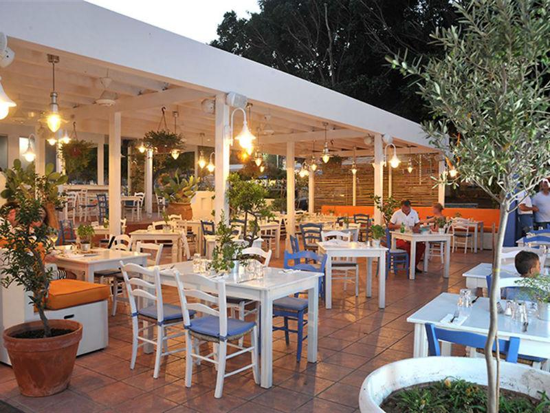 Napa Plaza Hotel