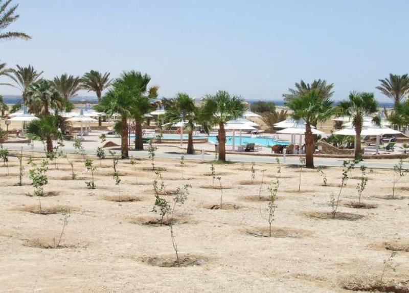 Coral Beach Resort Hotel