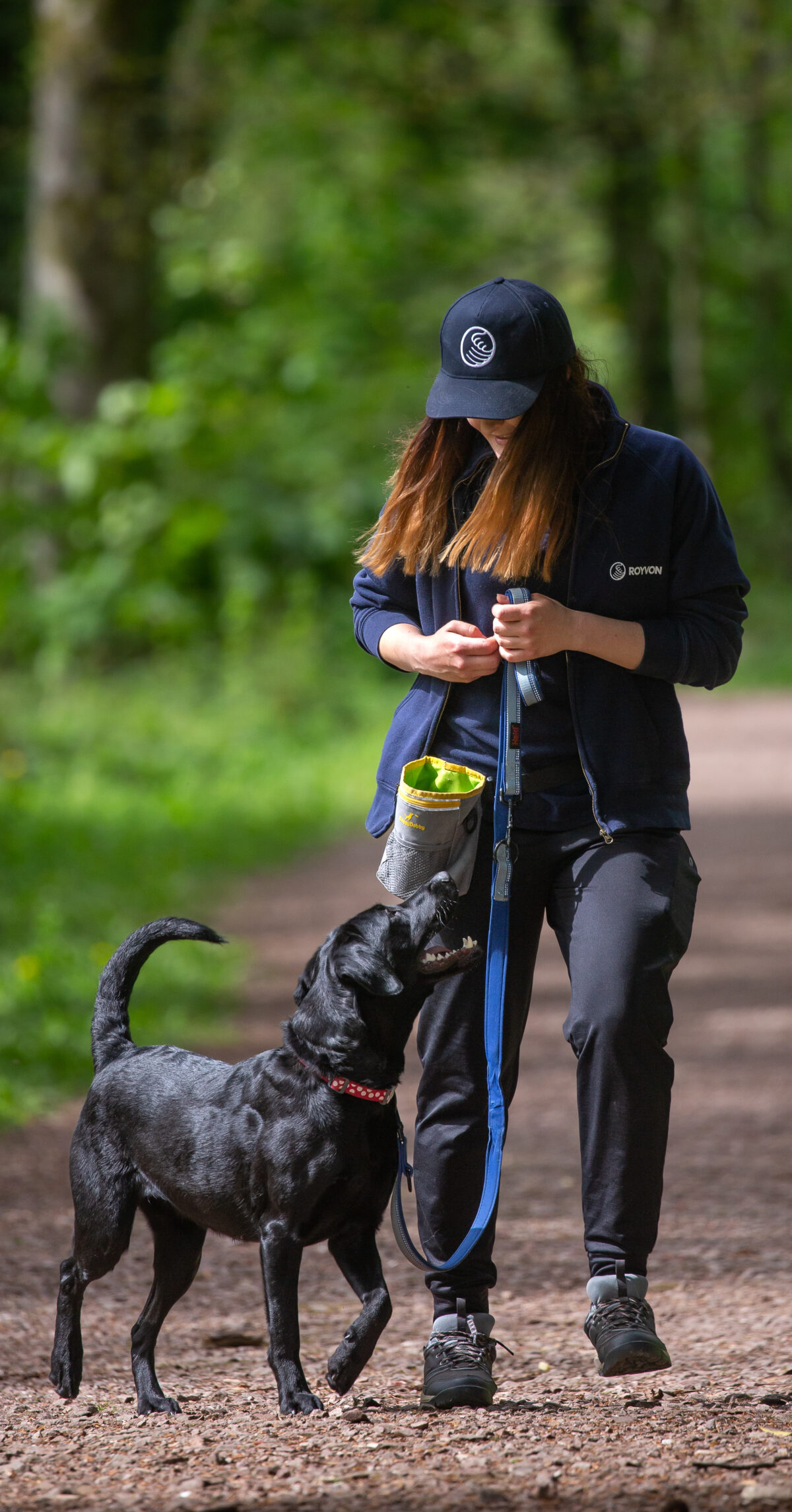 A trusted dog trainer in a navy outfit walks a black dog on a forest trail. She holds a treat bag and looks down at the dog, which gazes up at her eagerly. The background is blurred green foliage.