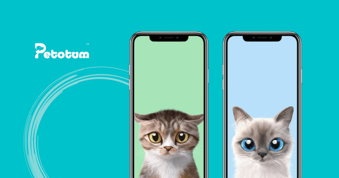 +10 Gambar Kucing Comel Untuk Wallpaper Telefon