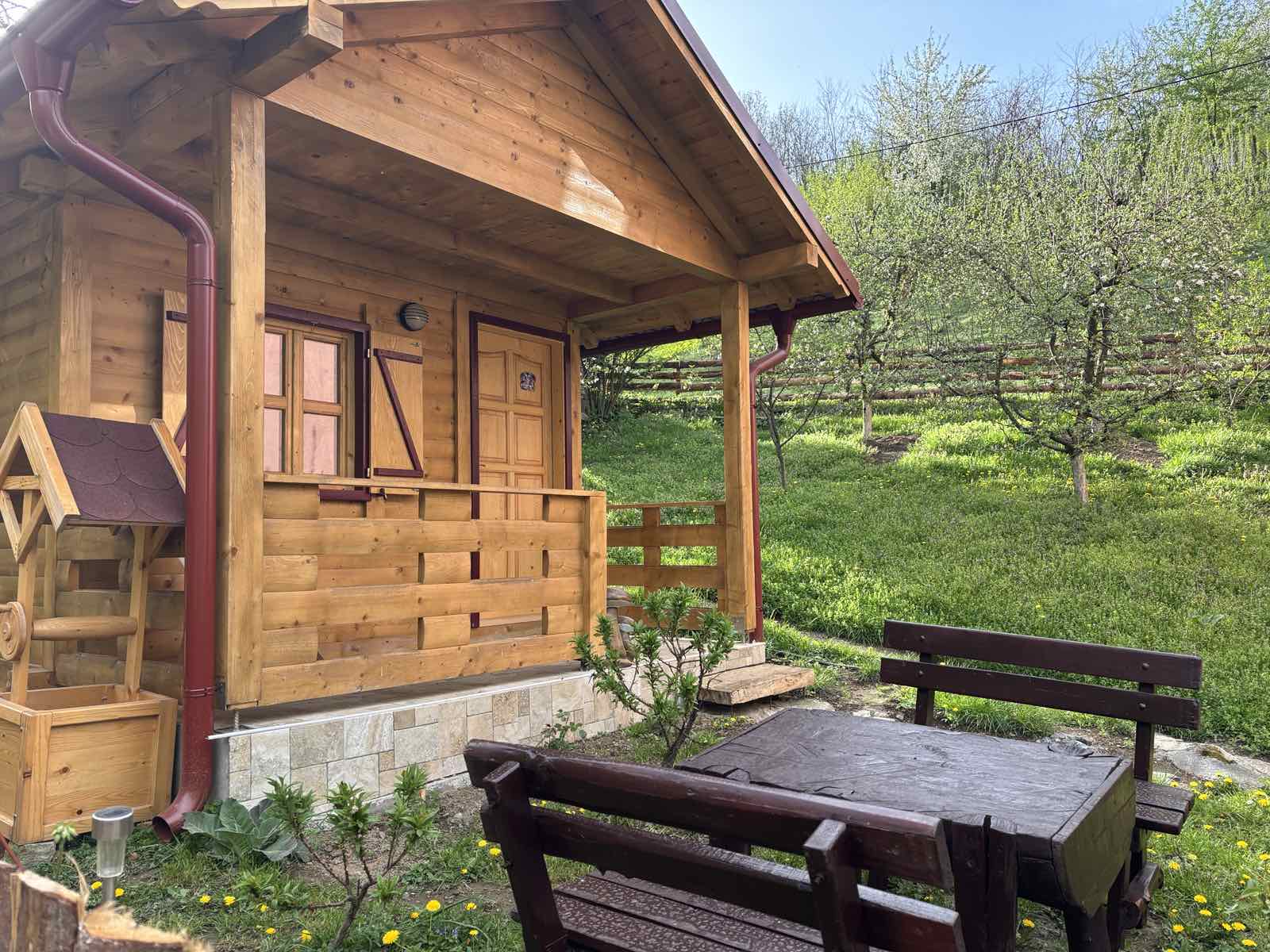 Brvnara Novičić