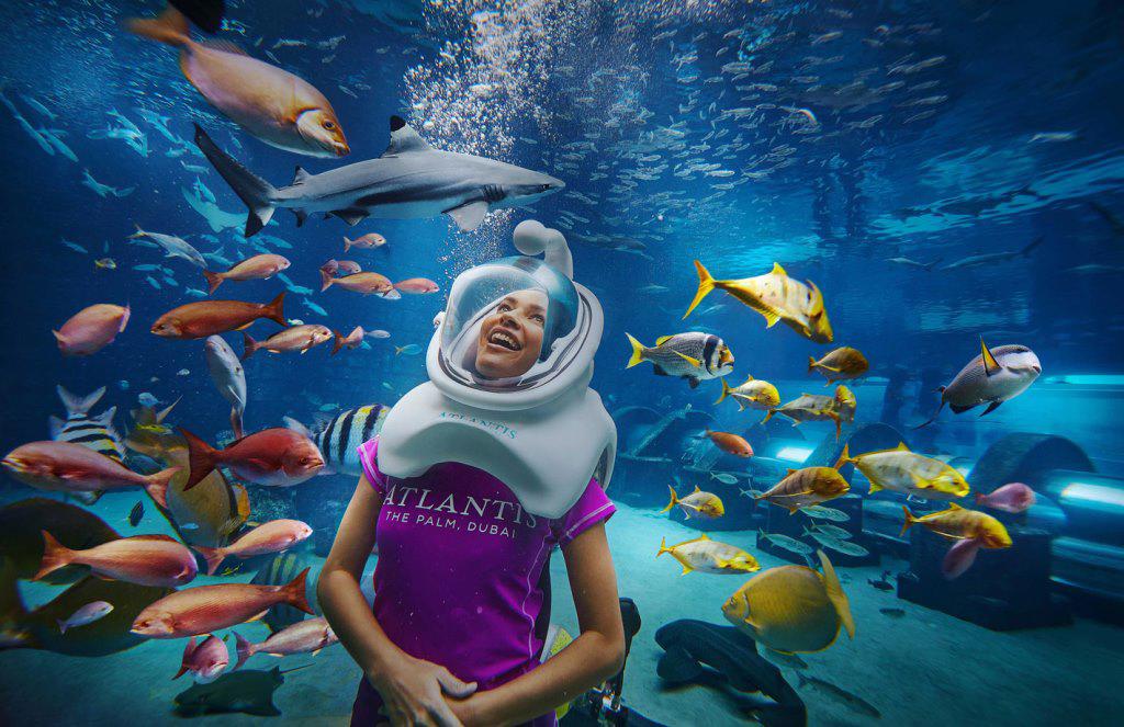 Hotel Atlantis The Palm