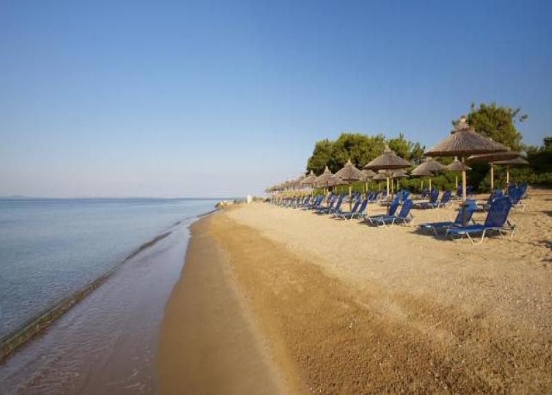 Blue Dolphin Hotel