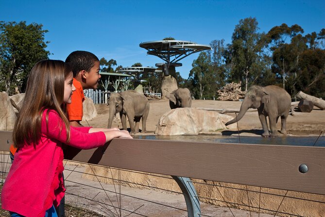 San Diego Zoo 1-Day Pass Any Day Ticket