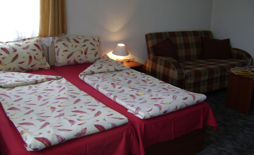Hotel Michel