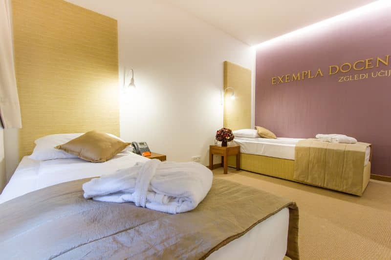 Hotel Zdraviliški Dvor