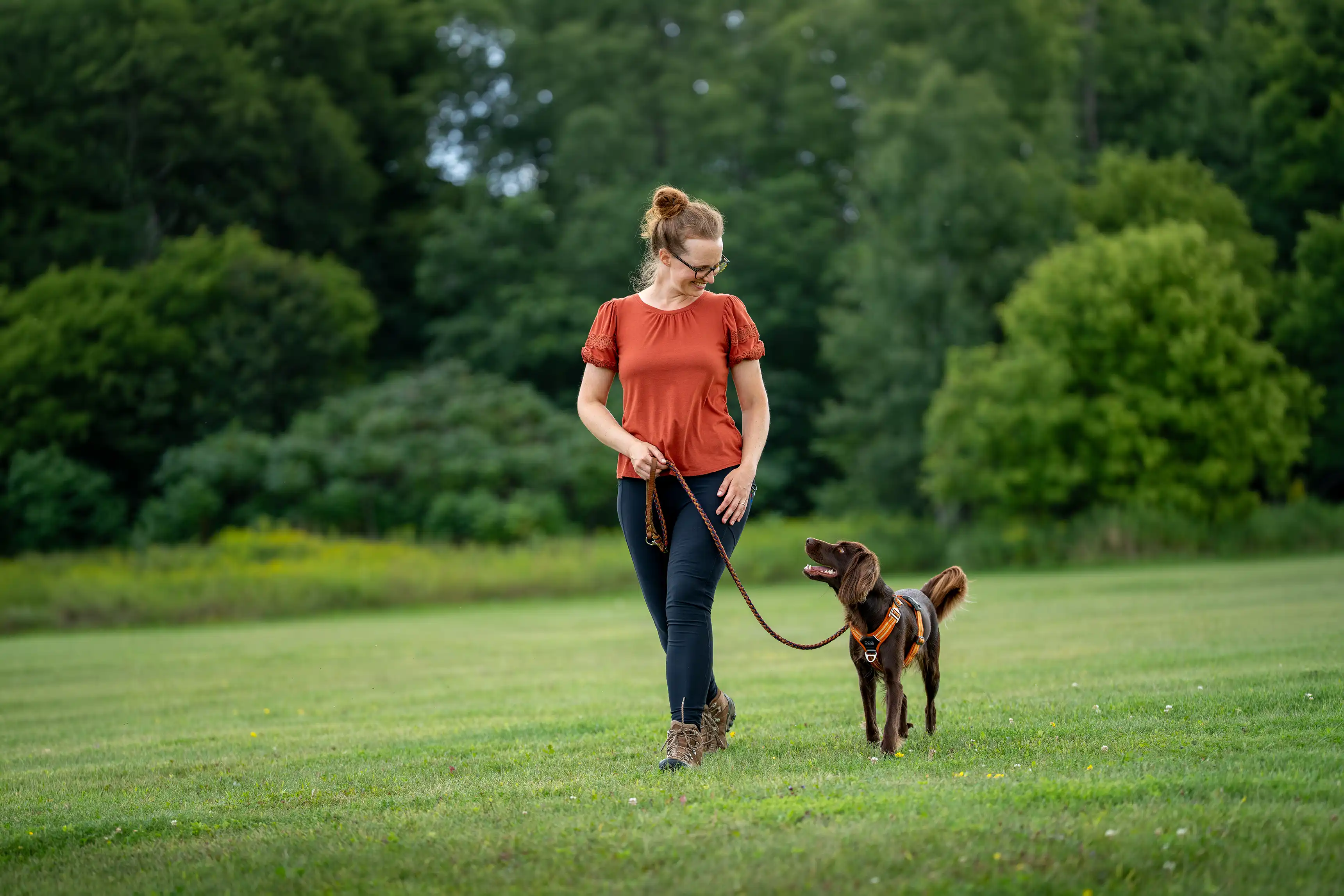 Woman in a rust-colored shirt walking a brown dog in an orange harness on a loose leash across a grassy field during a dog training session.