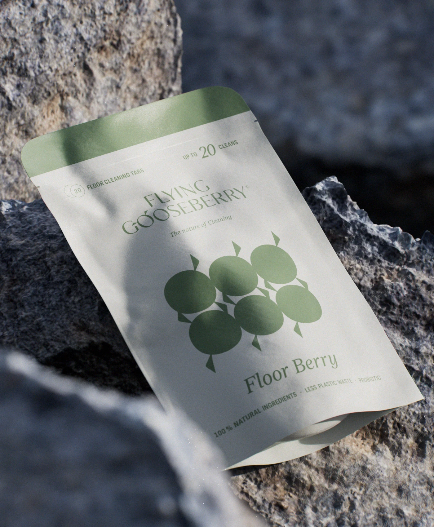 ✅ Renders for Flying Gooseberry blends eco-friendly packaging with natural elements, aligning with the rising demand for sustainable, minimalist product presentation.
