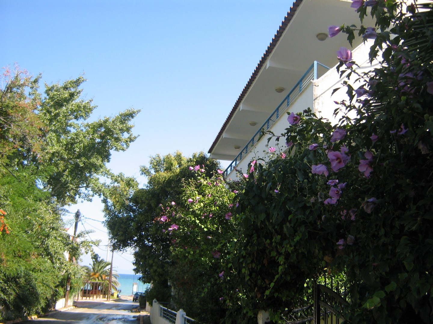 Apartmani i Studija Dukas