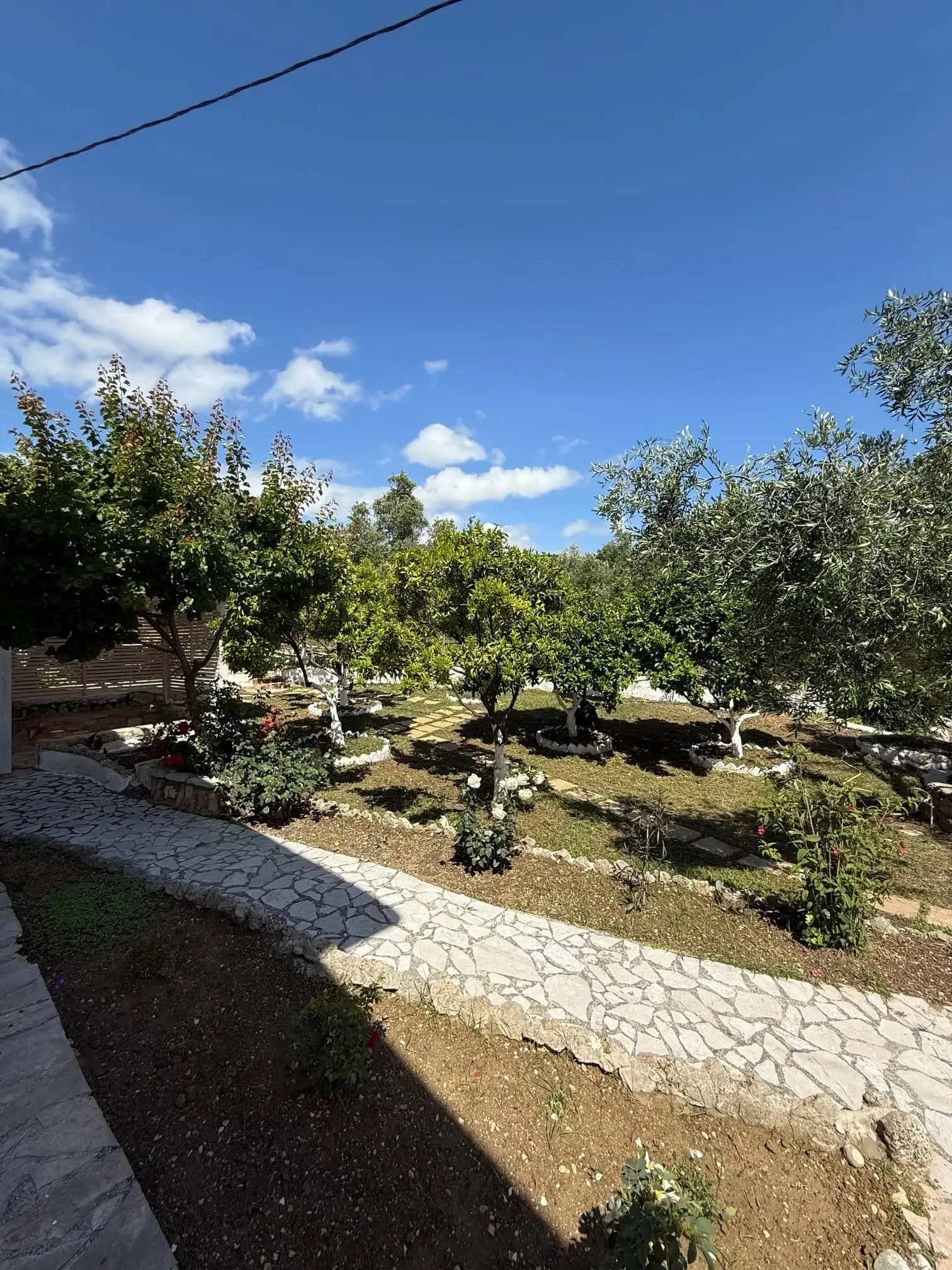 Apartmani Silvia