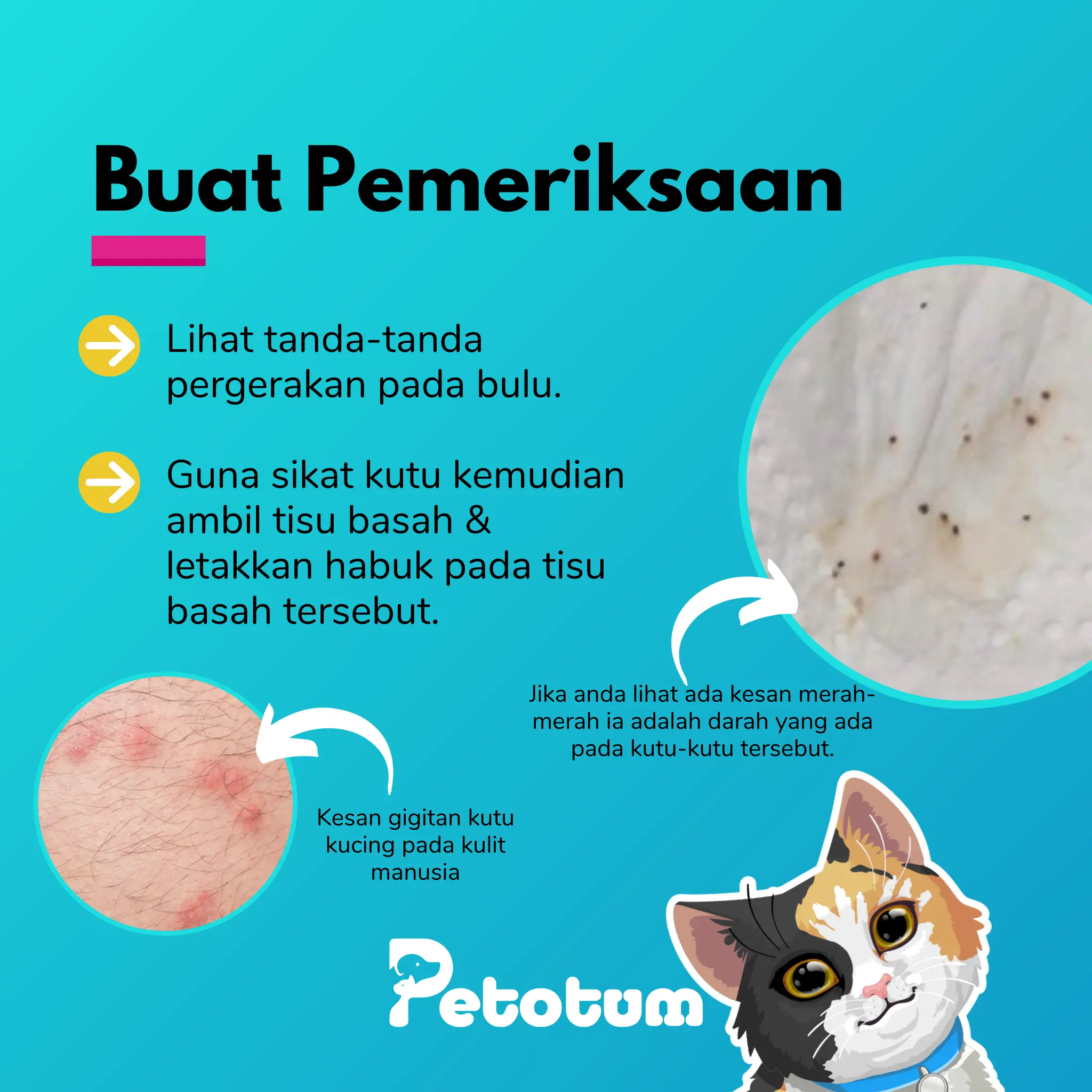 buat Pemeriksaan