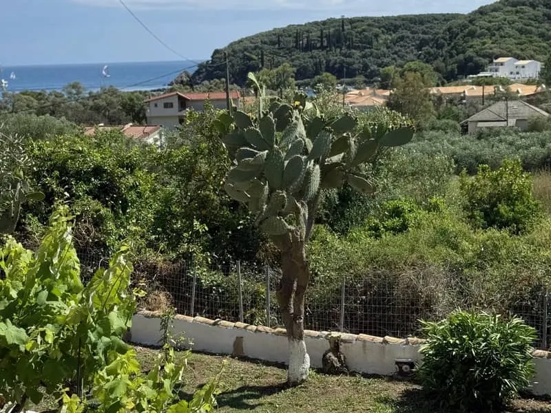 Apartmani Silvia