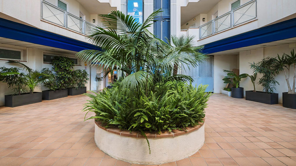 Tahiti Playa Hotel and Suites