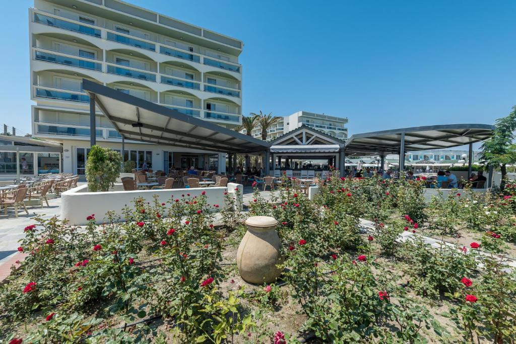 Apollo Beach Rhodes