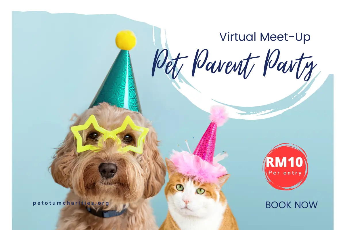 PawTalk: Pet Parent Party